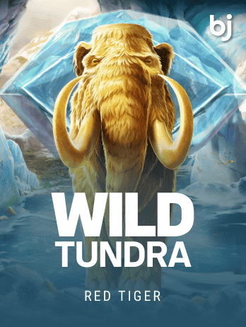 ওয়াইল্ড টুন্ড্রা game thumbnail